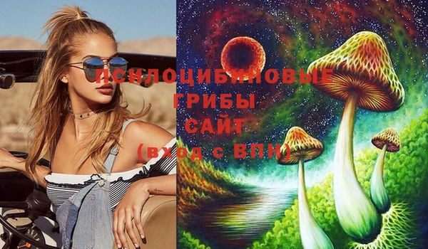 МДПВ Вязники