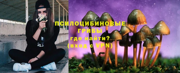 mdpv Волосово