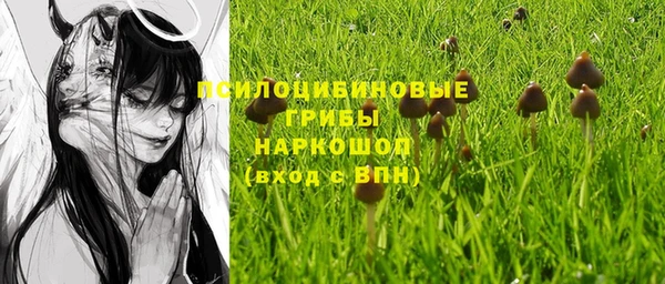 apvp Володарск
